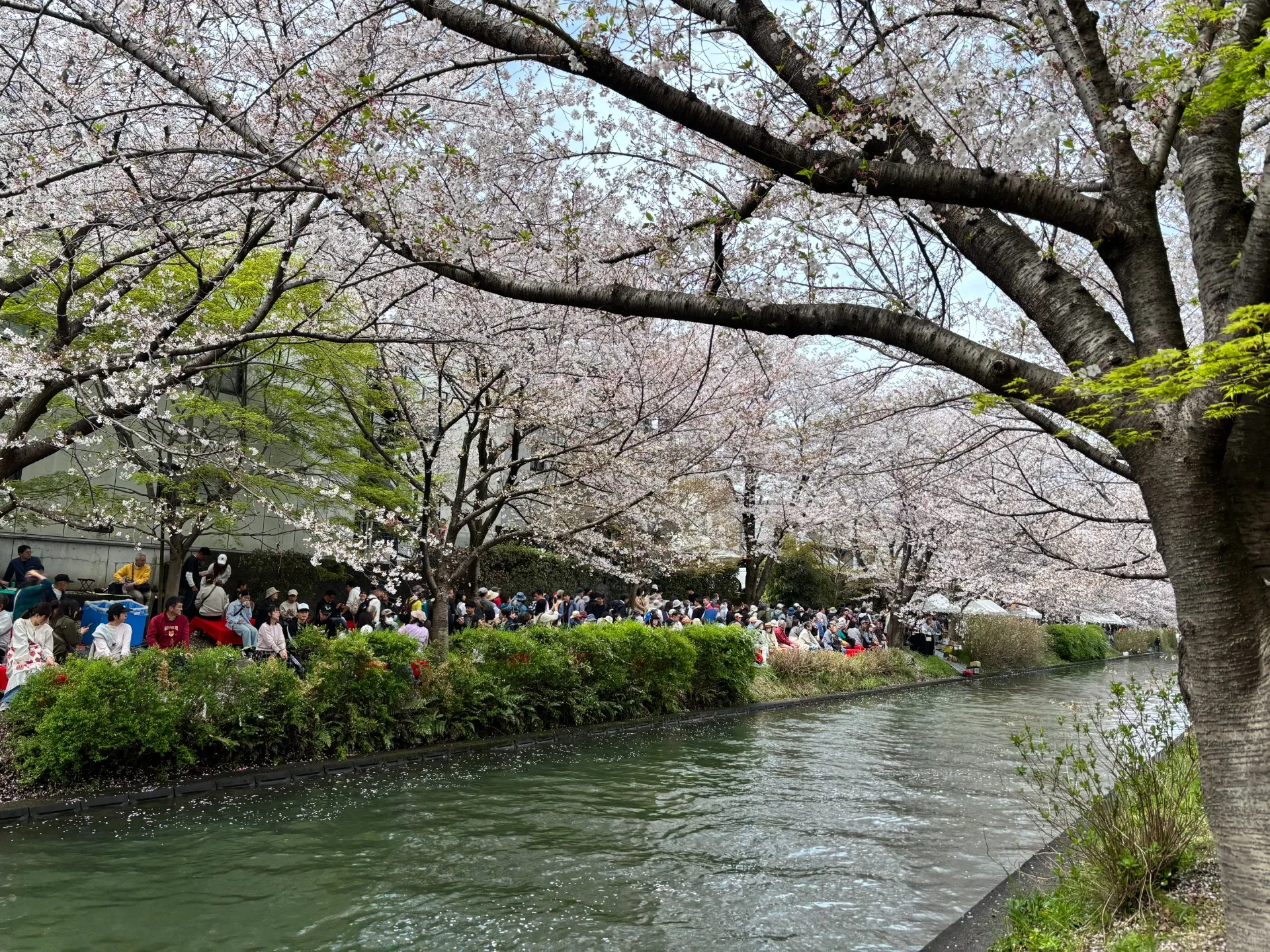 大阪市不動産売却の１歩